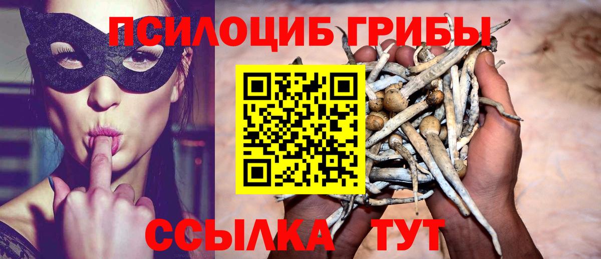 Псилоцибиновые грибы мицелий  Вход с VPN  где можно купить наркотик  Касимов  Галлюциногенные грибы Psilocybe 